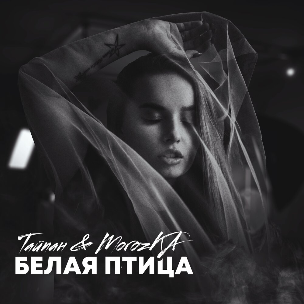 Белая птица - Тайпан, MorozKA