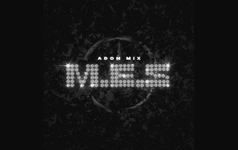 Adon Mix - M.E.S текст песни